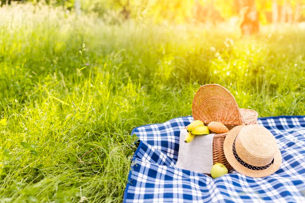 Picnic Planning